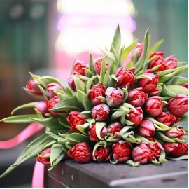 51 красный пионовидный тюльпан